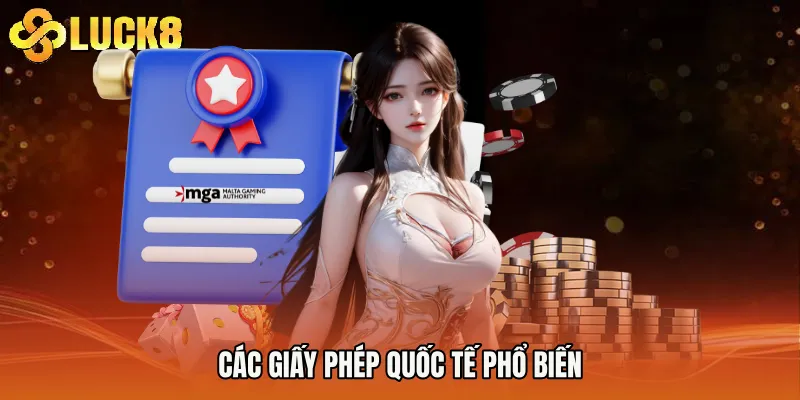 Các giấy phép quốc tế phổ biến